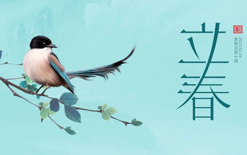 立春 | 歡喜迎春，萬(wàn)物復(fù)蘇